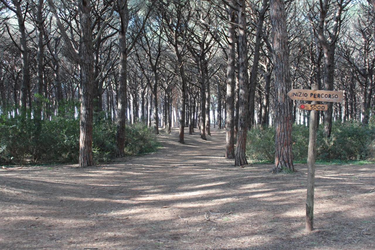 Massimo 3* Marina di Cecina